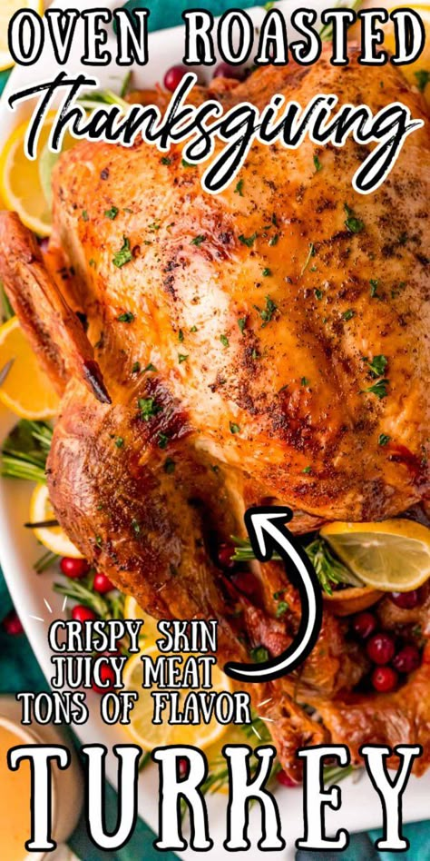 Turkey Dinner Recipes Thanksgiving, Oven Turkey Recipes, Roast Turkey Recipes Thanksgiving, Easy Turkey Recipes Thanksgiving, Turkey Rub Recipes, Turkey Dinner Recipes, Turkey In Oven, Easy Thanksgiving Turkey, Best Turkey Recipe