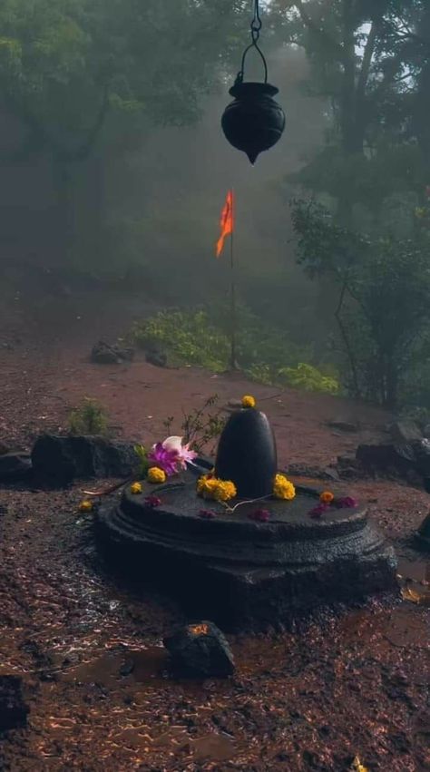 Lord Shiva Pics Wallpapers, Shivratri Photo, Pictures Of Shiva, Wallpaper Photo Gallery, Beautiful Ocean Pictures, Har Har Mahadev, Peace Illustration, Shiva Photos, Shiva Wallpaper