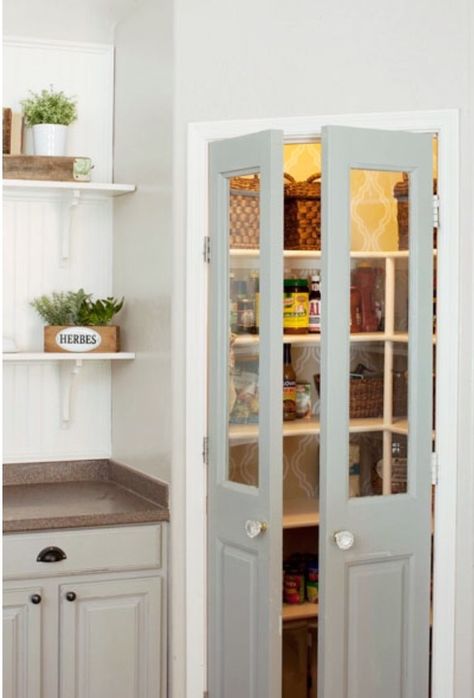 Kitchen pantry door, but either frost glass or solid wood. But two tiny French doors Super Pantry, Offices Ideas, Kitchen Pantry Doors, Corner Pantry, Door Colors, Kitchen Pantry Design, Kitchen Corner, Pantry Door, Pantry Design