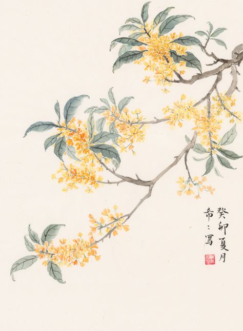 Osmanthus Flower Tattoo, Chinese Tree Art, Chinese Floral Painting, Osmanthus Tattoo, Chinese Flower Painting, Chinese Painting Traditional, Chinese Blossom, Osmanthus Flower, Chinese Tree