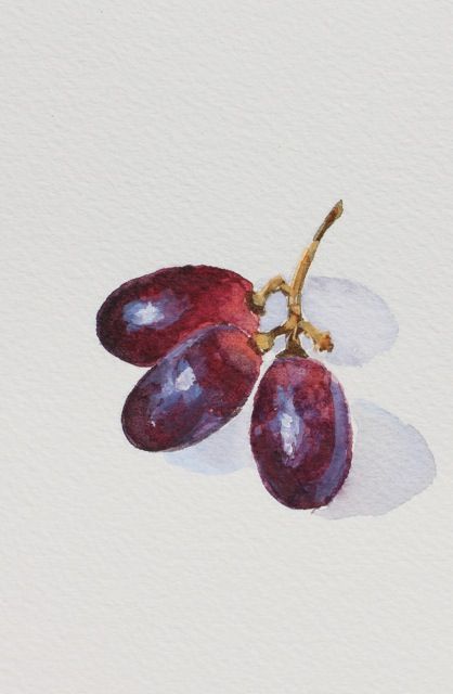 Grapes Fruit, Fruit Still Life, Watercolor Food, Still Life Fruit, Watercolor Fruit, Fruit Painting, Still Life Drawing, 수채화 그림, Red Grapes