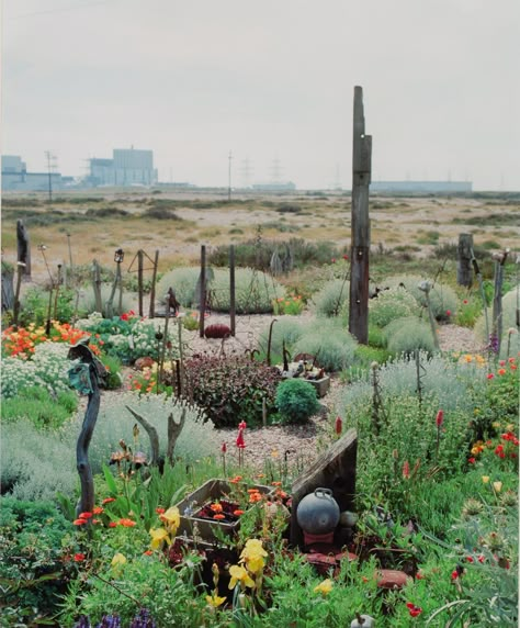 Planting Garden Ideas, Inspiring Gardens, Gravel Gardens, Hans Ulrich Obrist, Derek Jarman, Garden Uk, Funny Weather, Nature Journals, Planting Garden