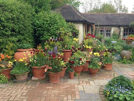 Whichford Pottery Garden Ideas Uk, Pagoda Garden, Architectural Plants, Terra Cotta Pots, Exterior Inspiration, Potted Plants Outdoor, Cosmic Girl, Blogging Inspiration, Garden Rooms