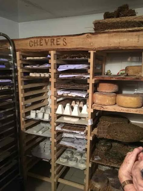 Meat Cellar, Cheese Caves, Dinning Room Storage, Curing Chamber, Underground Wine Cellar, Root Cellar Plans, Cheese Cellar, Cellar Pantry, Farm Chicken Coop