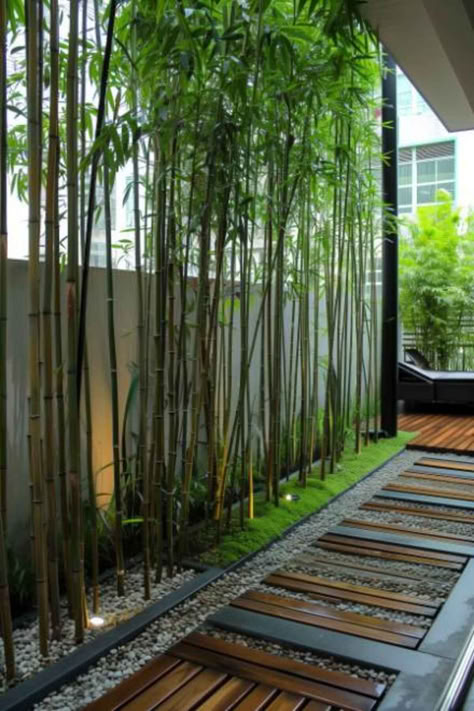 25 Modern Terrace Garden Inspirations for Contemporary Homes Terrace Designs, Modern Terrace, Bamboo Landscape, Courtyard Plants, Island Garden, Terrace Garden Ideas, Enchanting Garden, Terrace Garden Design, Japanese Garden Design