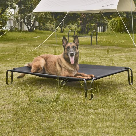 Dog Cot Bed, Raised Dog Bed, Raised Dog Beds, Backyard Garage, Dog Cots, Elevated Dog Bed, Outdoor Dog Bed, Cot Bed, Backyard Inspo