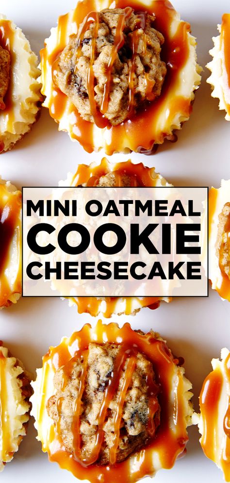 Oatmeal Cookie Cheesecake, Oatmeal Cream Pie Cheesecake Recipes, Cheesecake Oatmeal, Oatmeal Raisin Cheesecake, Oatmeal Cheesecake, Oatmeal Cookie Crust Cheesecake, Carmel Cheesecake Crumble Cookie, Blueberry Crumble Mini Cheesecakes, Homemade Oatmeal Raisin Cookies