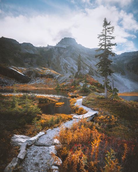 Fall colors at Mt Baker.. I’m ready for blueberry picking, camp fires, coffee and friends. What about you guys? Nature Destinations, Mt Baker, Down South, Autumn Photography, Pretty Places, Get Outside, America Travel, Travel Insurance, Pilgrimage