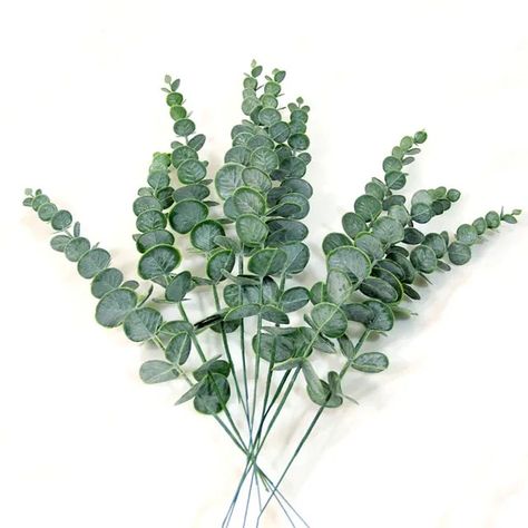 10Pcs Plastic Eucalyptus Leaves Fake Plants Flower Material for Wedding Flower Wall Home Decoration Greenery Plant Leaf Decor Plants Centerpieces, Eucalyptus Wedding Bouquet, Cheap Artificial Plants, Fake Flowers Wedding, Flower Wall Wedding, Green Bouquet, Feuille Eucalyptus, Eucalyptus Leaf, Artificial Eucalyptus