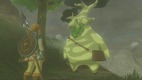 Hestu Korok, Breath Of The Wild Korok, Korok Seed, Zelda Dungeon, Renn Faire, Zelda Botw, Zelda Breath Of The Wild, Legend Of Zelda Breath, Zelda Breath