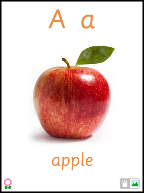 App Price Drop: A for Apple (Alphabets Flashcards for Preschool Kids) for iPhone/iPad is free! Apple Flashcard, Apple Alphabet Free Printable, Alphabet Flashcards Printable Free Cards, Apple Alphabet Match, Alphabets Flash Cards, Learn English Kid, Preschool Prewriting, Apple Alphabet, Letter Writing Practice