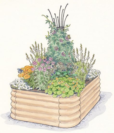 Illustration of raised bed Pollinator Garden Plans, Pollinator Garden Design, Garden Planning Layout, Small Vegetable Gardens, Vegetable Garden Planning, Garden Plan, Fall Garden Vegetables, Planting Plan, Overwintering