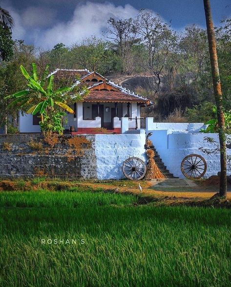 Palakkad Green Grass Wall Decor, House Design Kerala, Green Grass Wall, Grass Wall Decor, Natural Photoshoot, Drawing Natural, Kerala Traditional House, Green Grasshopper, Indian Room Decor