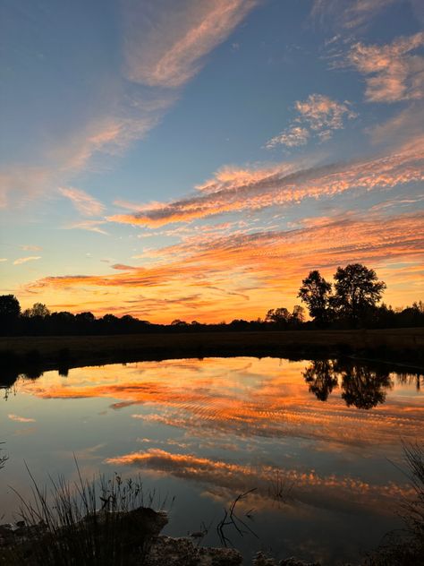 Tennessee sunset fall weather pond Tennessee Sunset, Fall Weather, Fall 2024, Sunset Photography, Tennessee, Lake, Lifestyle, Collage, Water