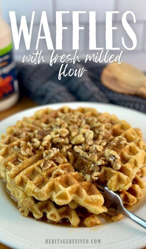 Stack of waffles on a plate with fork cutting through the stack and text "Waffles with fresh milled flour" Fluffy Waffle Recipe, Wheat Berry Recipes, Fresh Milled Flour, Best Waffle Recipe, Healthy Waffles, Dutch Oven Bread, Fluffy Waffles, Crispy Waffle, Protein Waffles