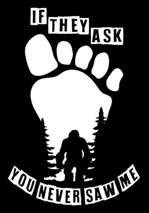 Sasquatch Funny, Bigfoot Sightings, You And I, Cricut, Funny