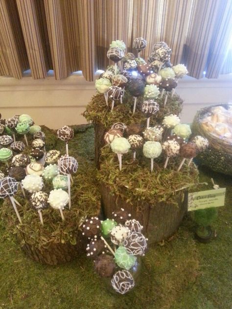 Enchanted Forest cake pops . wood logs with holes drilled in top for cake pop sticks.  Cover tops in moss.  Might be fun if the cake pops were mushrooms. Enchanted Forest Thank You Gifts, Enchanted Forest Candy Bar, Enchanted Forest Sweet 16 Cake, Wedding Forest Theme, Garden Quince, Enchanted Forest Cake, Enchanted Forest Quinceanera, Enchanted Forest Prom, Enchanted Forest Party