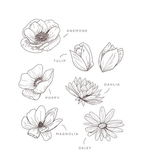 How To Draw Modern Flowers, Boho Floral Drawing, Hand Drawn Mural, Pen Drawn Flowers, Modern Floral Drawing, Minimalist Floral Drawing, Line Art Flowers Botanical Illustration, Begginer Sketches Ideas, Flower Line Drawing Botanical Illustration