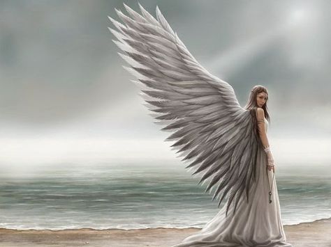 I got: Angel.! What Were You In A Past Life According To The Colors You Choose? - Picked my favorite colors and got this result Skyler Grey, Angel Sayings, Angel Protector, Playbuzz Quizzes, Playbuzz Quiz, Angel Quotes, Kahlil Gibran, Buzzfeed Quizzes, Angels In Heaven