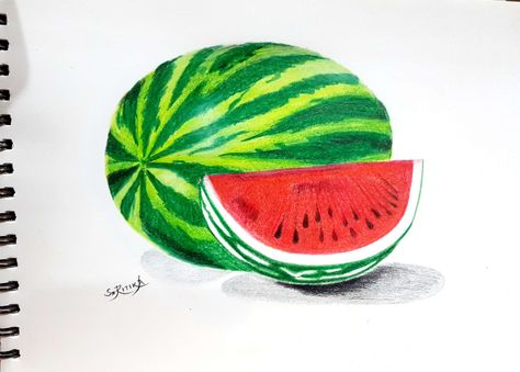 realistic watermelon  color pencil sketch for sale...!!!contact+91 9976847155 Watermelon Drawing For Kids, Watermelon Sketch, Sketches For Kids, Watermelon Drawing, Watermelon Color, Color Pencil Sketch, Children Sketch, Stick Figure Drawing, Oil Pastel Drawings