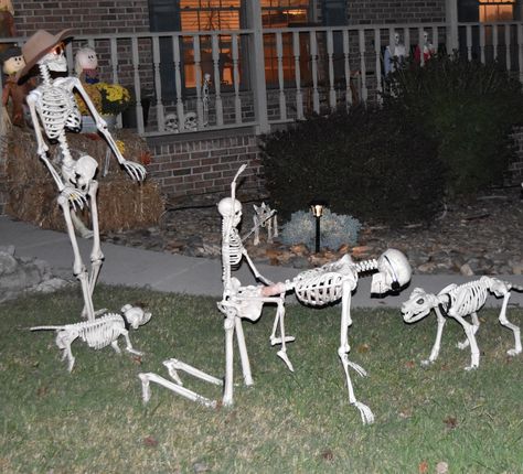 Front Yard Halloween, Front Yard Halloween Decorations, Halloween Comics, Skeleton Pics, Silly Skeleton, Cute Moth, Halloween Decoration Ideas, Celtic Festival, Halloween Decorations Outdoor