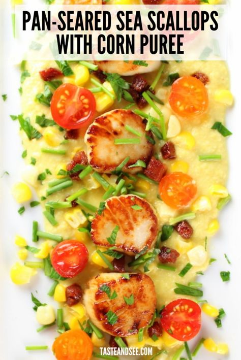 These Pan-Seared Sea Scallops with Corn Puree are a delicious, decadent low-calorie meal full of protein and flavor. With dry-cured chorizo, cherry tomatoes, shallots & scallions. #Scallops #Seafood #GlutenFree #TasteAndSee Corn Puree Recipe, Scallops With Corn, Corn Puree, Scalloped Corn, Pan Seared Scallops, Sea Scallops, Scallop Recipes, Scallops Seared, Pureed Food Recipes