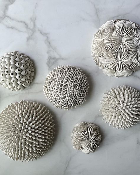 I'm working on a couple of these wall installations this week. 🖤 Clam Clay Sculpture, Ceramic Sea Urchin, Heather Knight, Ceramic Coral Sculpture, Pottery Videos, Sculptures Céramiques, Wall Installation, Pottery Studio, Ceramic Artists