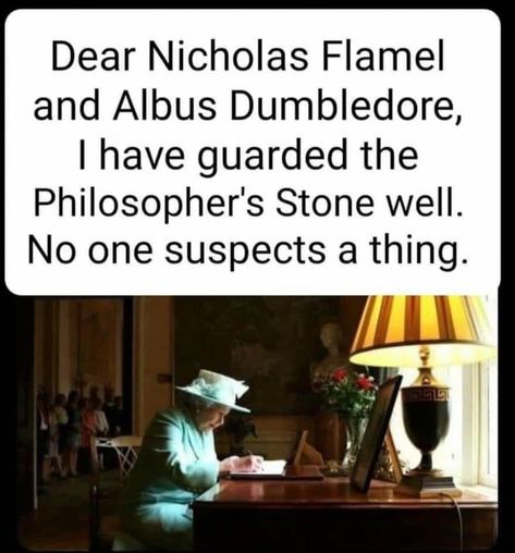 Nicholas Flamel, Stone Well, British Memes, Philosopher's Stone, Funny Harry Potter Jokes, Yer A Wizard Harry, Harry Potter Puns, Harry Pottah, Harry Potter Jokes