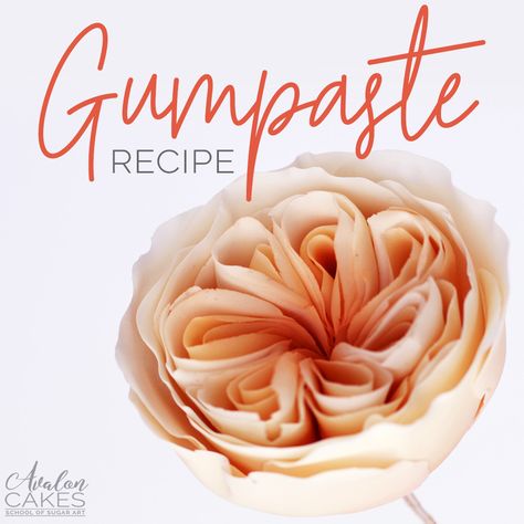 This easy homemade gumpaste recipe is my favorite go-to recipe for all sugar flowers! This is Nicholas Lodge's famous recipe and we use it cause it works! Homemade Gumpaste Recipe, Gum Paste Recipe, Gumpaste Recipe, Fondant Recipes, Wedding Cakes Flowers, Homemade Wedding Cake, 2025 Recipes, Cherry Blossom Cake, Royal Icing Sugar Cookies