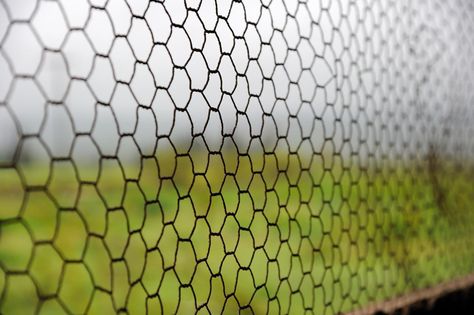 Tips on How to Install a Chicken Wire Fence to Protect Your Garden - Gardenerdy Chicken Wire Fence Garden, Chicken Wire Fence Ideas, Chicken Wire Garden Fence, Wire Fence Panels, Chicken Wire Fence, Chicken Fence, Yard Privacy, Barbed Wire Fencing, Cattle Panels