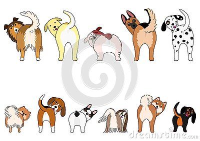 Set of funny dogs showing their butts, small dogs and Large dogs in two rows. Dog From Behind Drawing, Funny Dog Drawings, Dogs Doodle, Dog Corner, Logo Animal, Dog Quilts, Dog Icon, Puppies And Kitties, Dog Logo