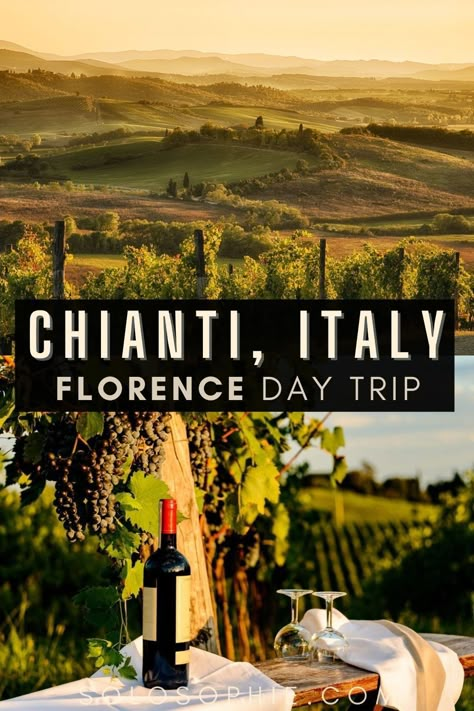 Florence Italy Vineyards, Chianti Italy Tuscany, Day Trip From Florence Italy, Florence Wine Tour, Day Trips From Florence Italy, Italy Wine Tasting, Things To Do In Tuscany, Italy Adventure, Chianti Italy