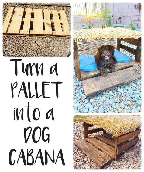 Dog Cabana, Shade For Dogs, Diy Repurposed Items, Patio Upgrade, Outdoor Dog Bed, Diy Outdoor Decor, Repurposed Items, Outdoor Holiday Decor, Animal Projects