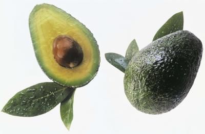 When Will the Dwarf Wurtz Avocado Bear Fruit? Avocado Grow, Frozen Avocado, Avocado Trees, Avocado Leaves, Avocado Dessert, Avocado Plant, Grow Avocado, Avocado Seed, Avocado Tree