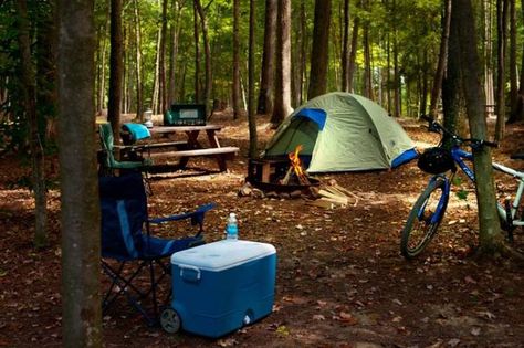 The 10 Best Camping Spots in West Virginia! California Beach Camping, Best Tents For Camping, Family Tent Camping, Fall Camping, Camping Places, Camping Destinations, Camping Locations, Camping Spots, Camping Supplies