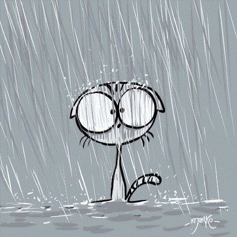 Cat Rain GIF by marko - Find & Share on GIPHY Rain Animation, Rain Gif, Animiertes Gif, Rain Storm, Character Design Animation, Grumpy Cat, Cat Drawing, Cartoon Cat, Cute Gif