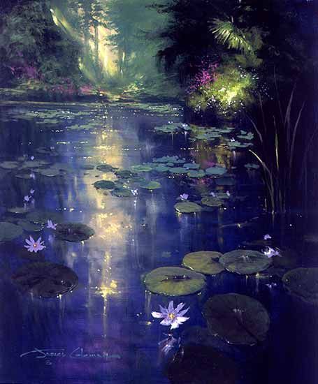 Soft Light and Lily Pads ~ James Coleman James Coleman, Water Lilies, Lily Pads, Soft Light, Lily, Trees, Twitter, Water, Pins