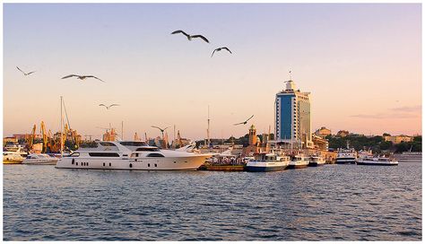 Port of Odesa, Ukraine #Odesa #Ukraine #sky #sea #Ukraine #bird Odessa Ukraine, Sky Sea, Odessa, New York Skyline, Ukraine, New York, Architecture, Travel