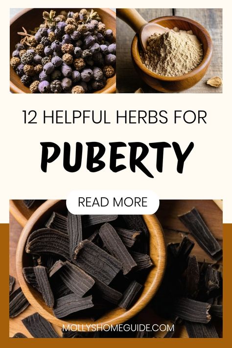 Best Herbs For Womens Health, Shatavari Benefits For Women, Herbs For Acne, Shatavari Benefits, Apothecary Supplies, Herb Knowledge, Witchy Herbs, Properties Of Herbs, Herbal Academy