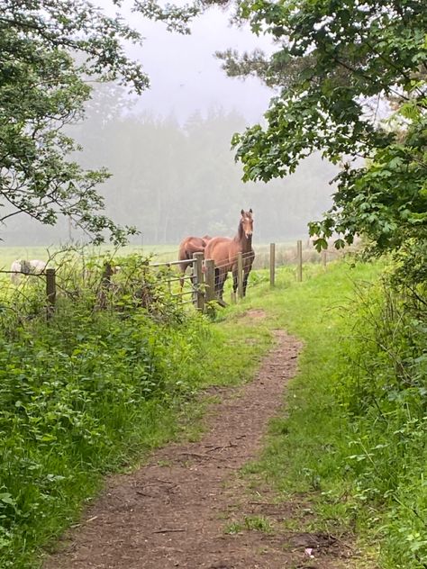 Countryside walk :) Country Walk Aesthetic, Identity Moodboard, Cowboy Cabin, Countryside Walks, Countryside Scenery, Country Walks, 2024 Aesthetic, Tree Sap, Dream Future