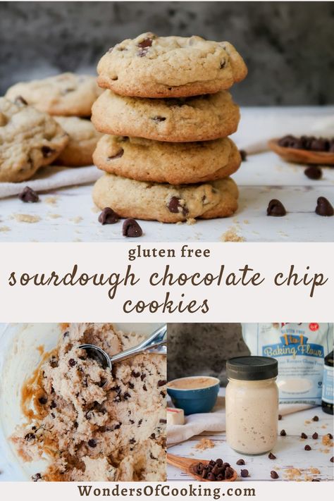 Gluten Free Sourdough Discard Recipes, Sourdough Chocolate Chip Cookies, Basic Cookie Recipe, Sourdough Starter Discard, Gluten Free Sourdough Starter, Best Gluten Free Bread, Sourdough Starter Discard Recipe, Soft Cookies, Basic Cookies