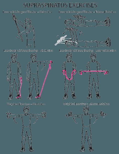 Supraspinatus Exercises Supraspinatus Exercises, Shoulder Rehab Exercises, Rotator Cuff Exercises, Shoulder Pain Exercises, Shoulder Rehab, Physical Therapy Student, Shoulder Impingement, Physical Therapist Assistant, Physical Therapy Assistant