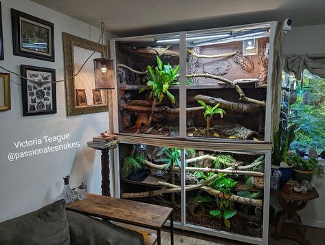 Make sure to check us out on Instagram for naturalistic and bioactive inspo. Nature inspired snake care! Snake Enclosure Decor, Diy Snake Enclosure, Snake Tanks, Snake Habitat, Snake Care, Pet Enclosures, Snake Cages, Diy Snake, Gecko Habitat