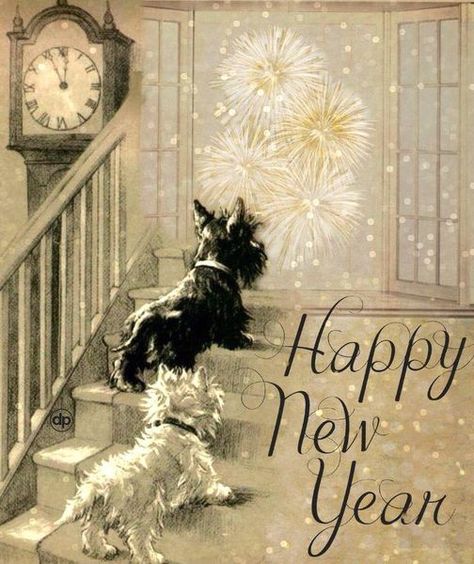 Vintage New Years, Happy New Year Dog, Vintage Happy New Year, New Year Pictures, Scottish Terriers, Westie Dogs, Loving Family, West Highland White Terrier, White Terrier