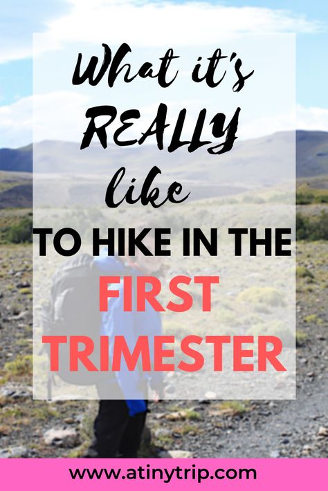 Pregnancy Fitness First Trimester, Travel While Pregnant, What To Do In Your First Trimester, Third Trimester To Do, Hiking While Pregnant, 10 Weeks Pregnant, What To Expect In The First Trimester, Travelling While Pregnant, Hormonal Changes