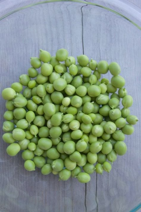 Shelling Peas Recipe, Fresh English Peas Recipe, English Peas Recipe, Fresh Pea Recipes, How To Cook Peas, Plate Method, Fresh Peas, English Peas, Peas Recipe