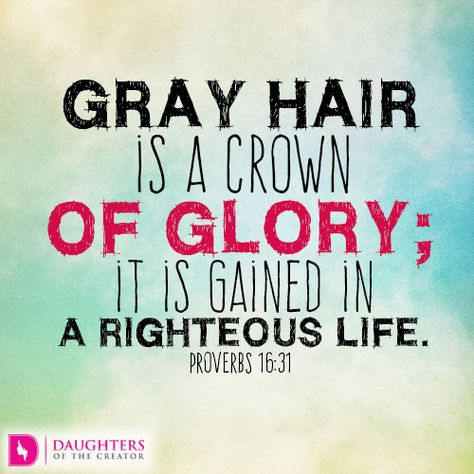 Daily Devotional -Aging with Grace: http://daughtersofthecreator.com/aging-with-grace/ Grey Hair Quotes, Crown Of Glory, Scene Hairstyles, Hair Quotes Funny, Leda Muir, Grey Hair Don't Care, Indie Scene, Presence Of The Lord, Hair Silver