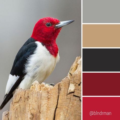 Create Color Palette, Color Mixing Chart, Color Palette Challenge, Color Schemes Colour Palettes, Palette Art, Color Palette Bright, Nature Color Palette, Palette Color, Color Palette Design