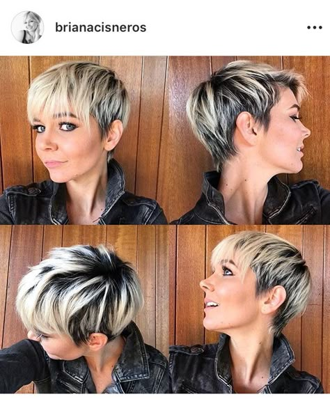 Pixie 360, Bubble Pony, Hair Doos, Cute Pixie Cuts, Awesome Hairstyles, Long Pixie Cuts, Blonde Pixie Cuts, Long Pixie, Penteado Cabelo Curto