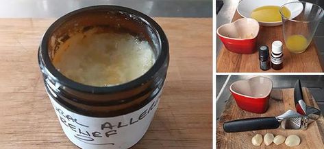 How to Make an Antihistamine Balm for Natural Allergy Relief - The Lost Herbs Hayfever Remedies, Apothecary Remedies, Grass Allergy, Natural Antihistamine, Natural Allergy Relief, Natural Antibiotic, Allergy Remedies, Backyard Plants, Hay Fever